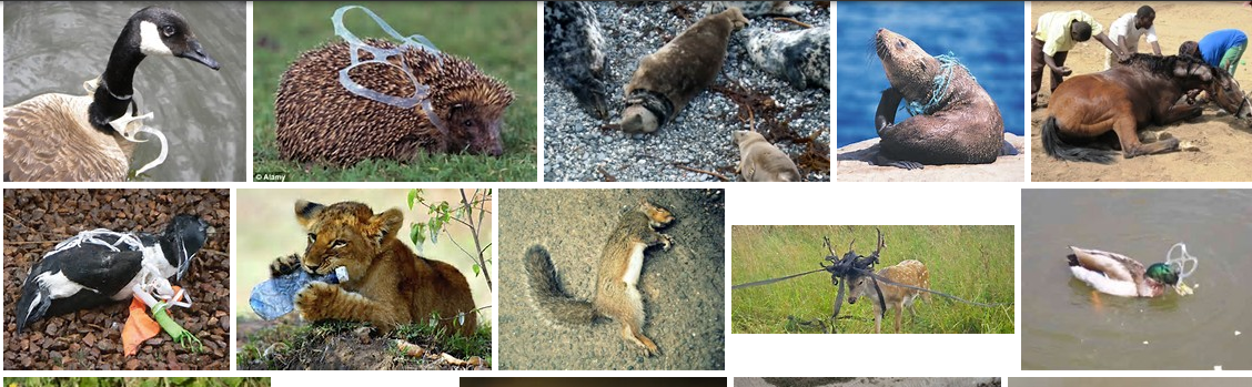 Screen Shot 2016-05-11 at 7.19.55 PM.png