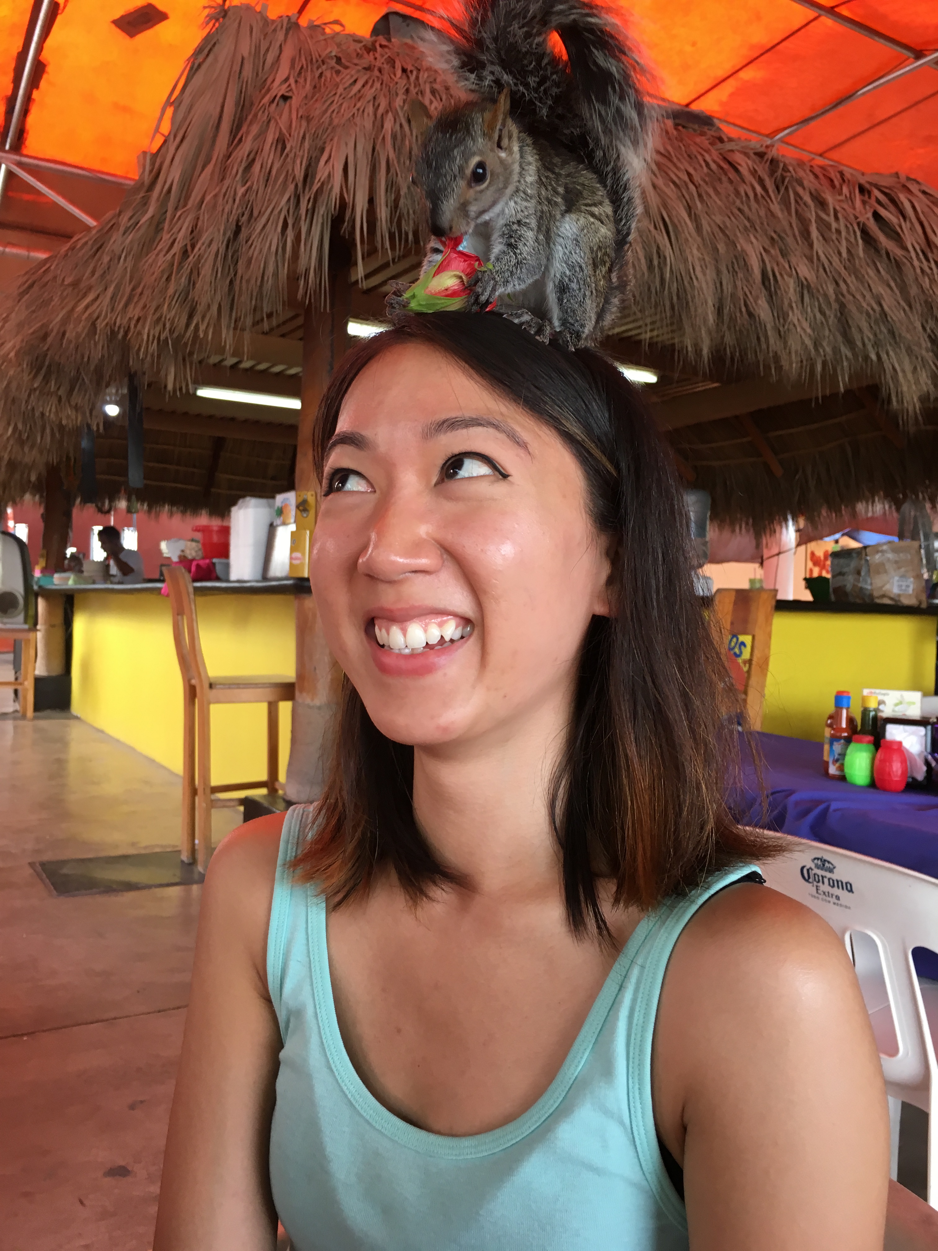 Ardilla encima mi cabeza2