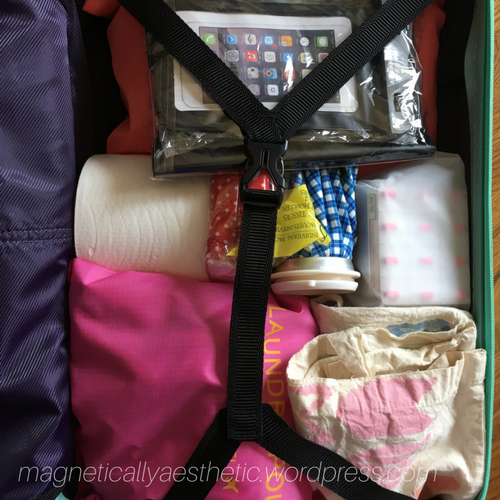 magneticallyaesthetic.wordpress.com (1).png