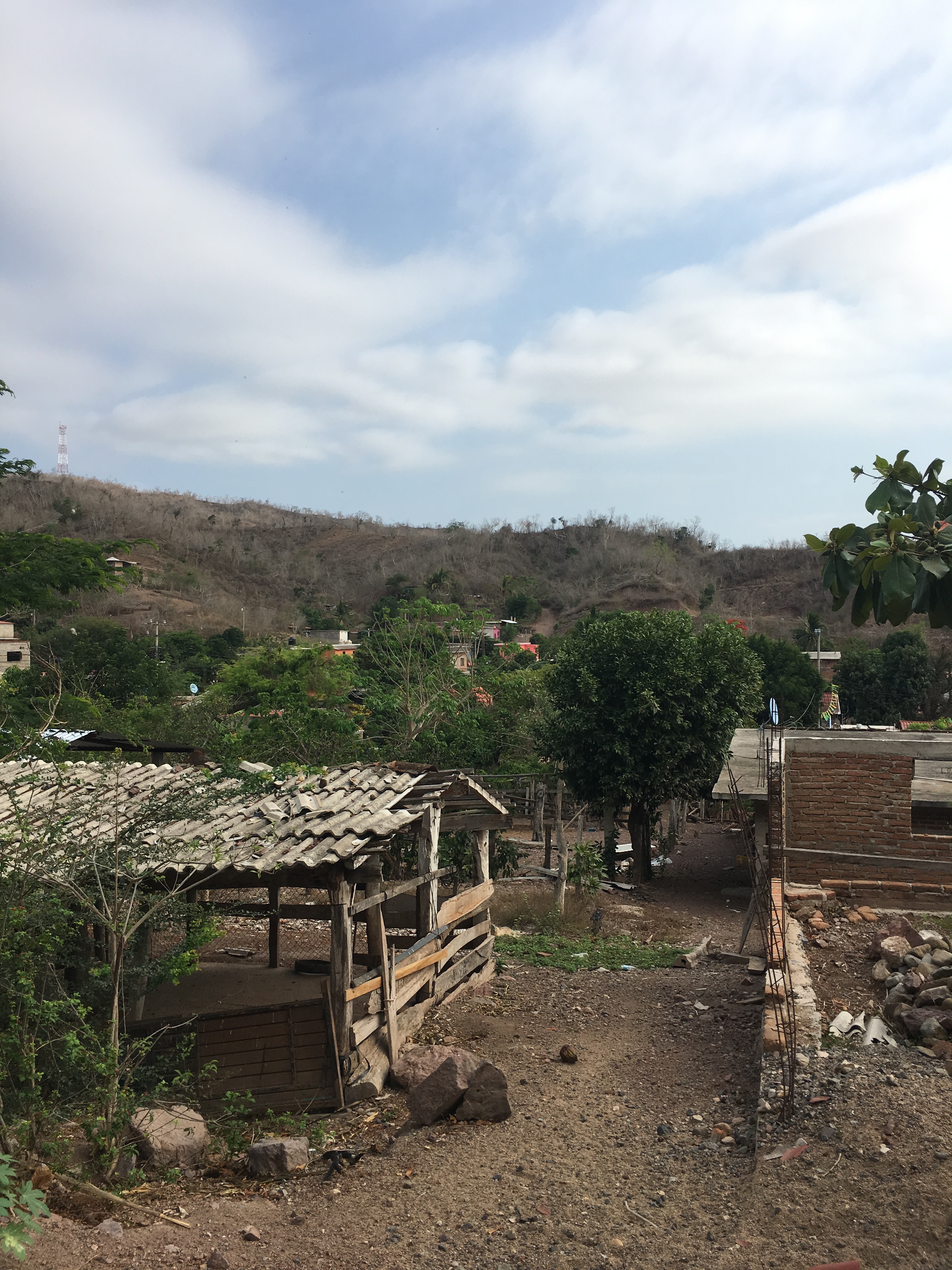 the view from the top of the hill