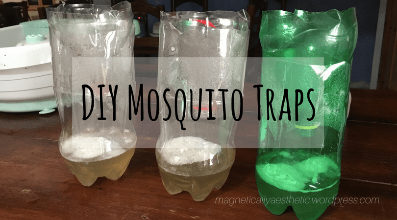 DIY Mosquito Traps