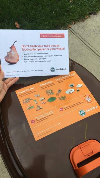 21868368_3843177761905_1553862026_o