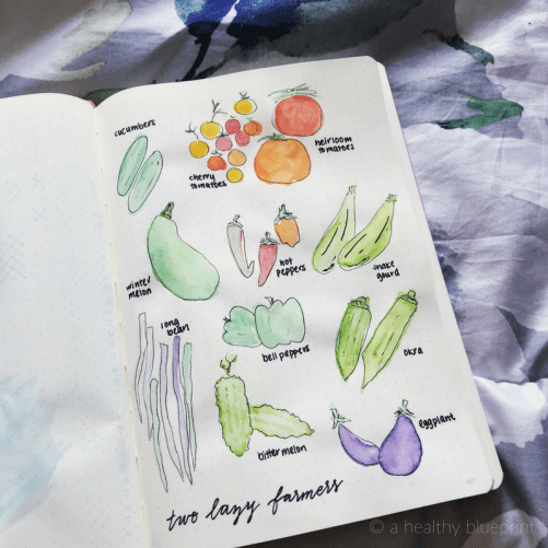 ahealthyblueprint (1).png