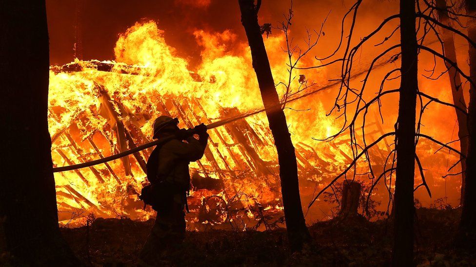 How You Can Help the California Fire&nbsp;Victims
