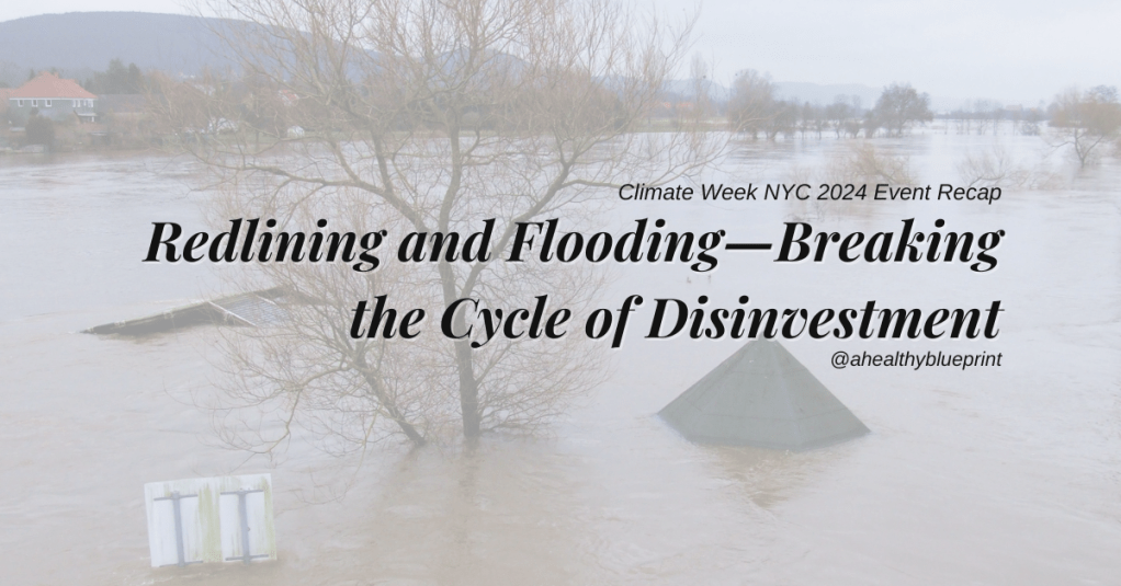 Climate Week NYC 2024 Event Recap: Redlining and Flooding—Breaking the Cycle of&nbsp;Disinvestment