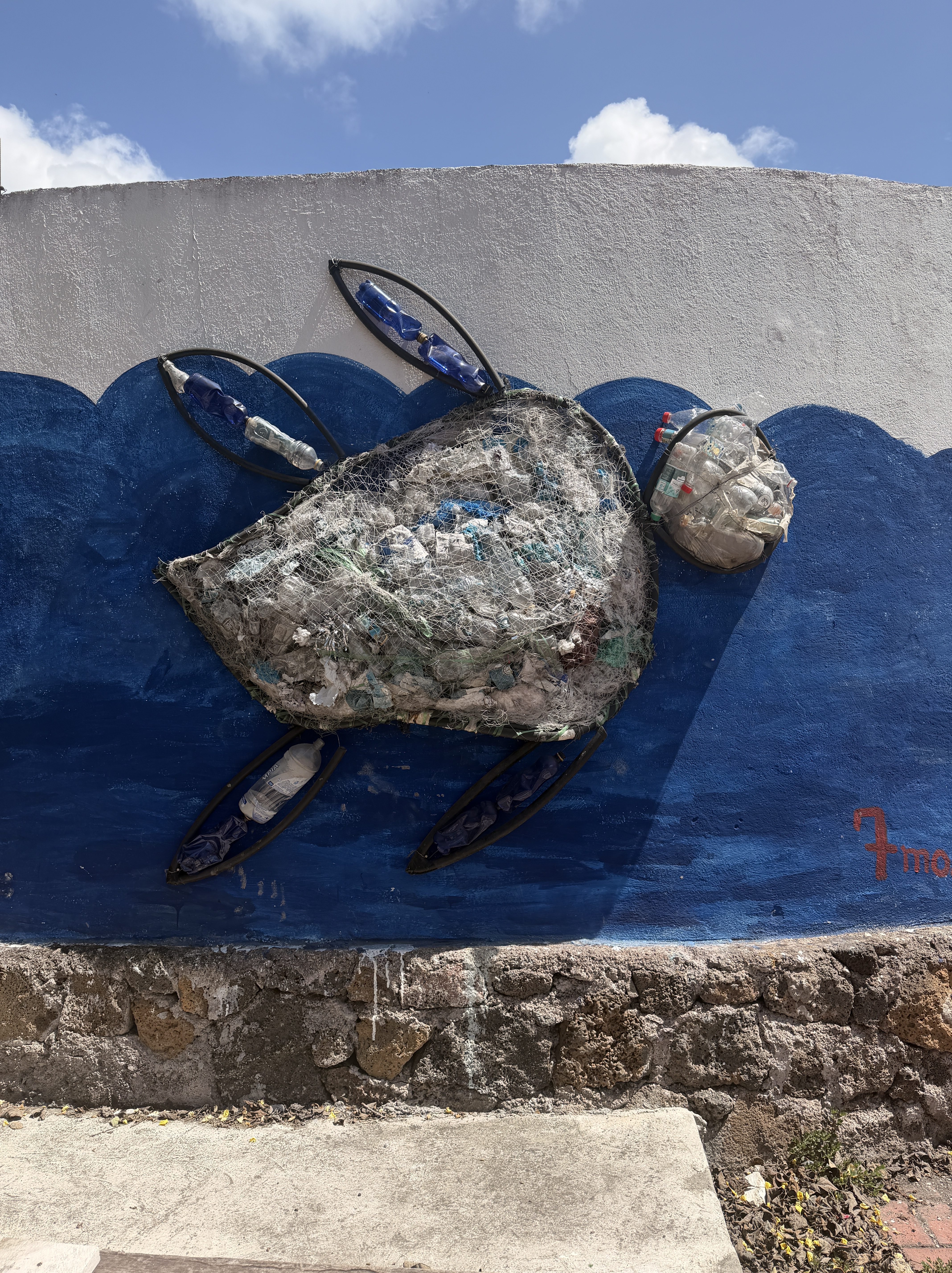 Wall featuring an art installation of a sea turtle made from discarded plastic water bottles