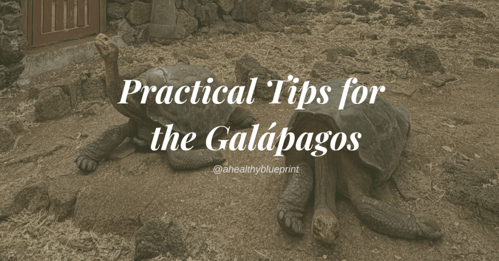Practical Tips for a Trip to the&nbsp;Galápagos